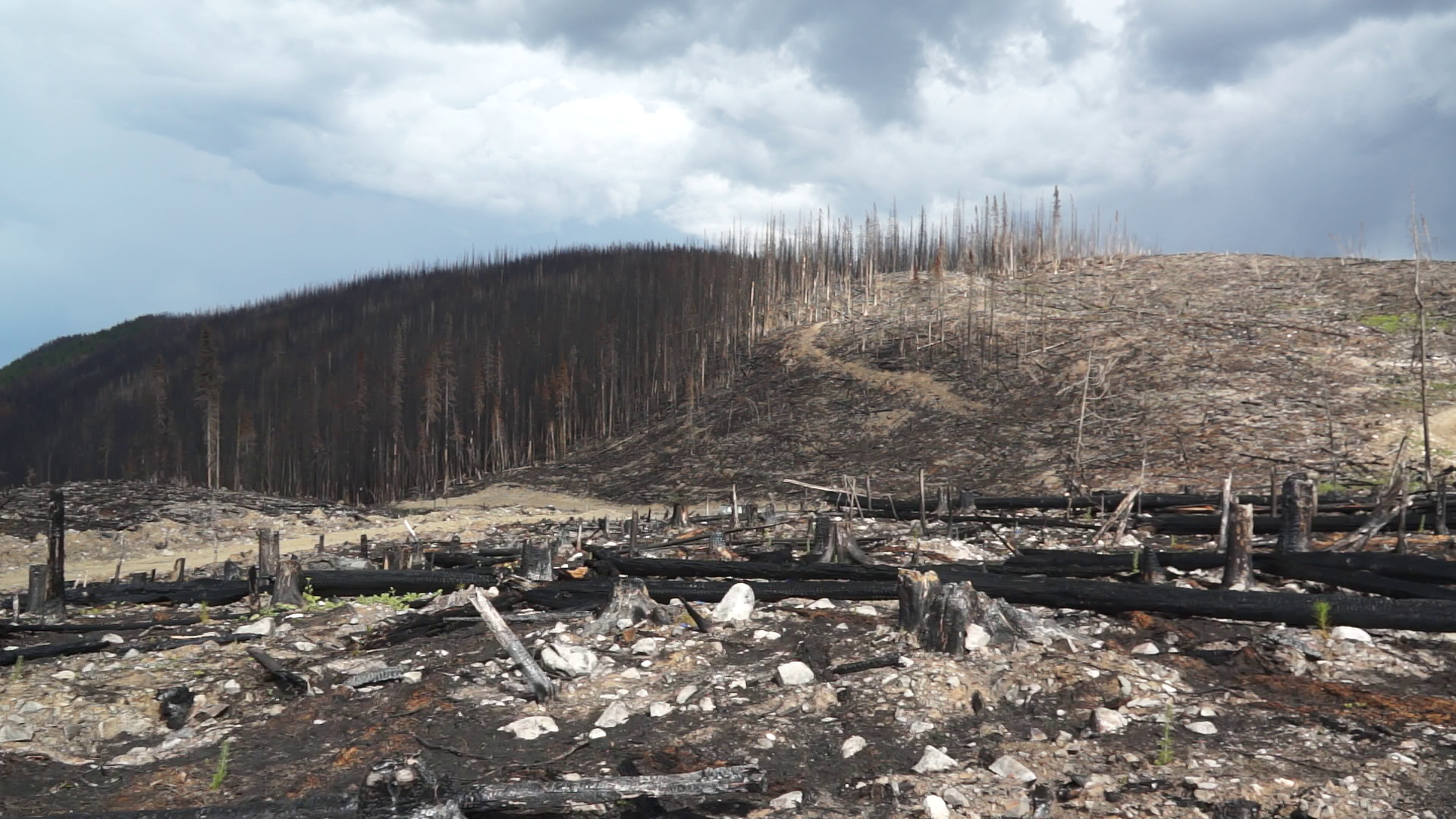 Nikola Klinger Highway of Tears - Mood 75